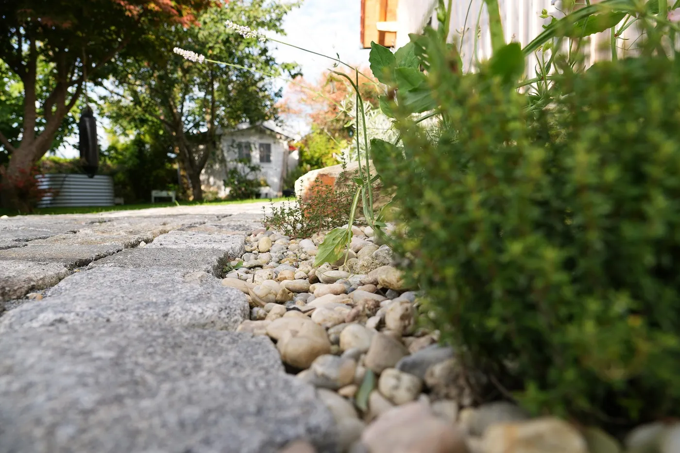 Rand einer Granitpflasterfläche mit angrenzendem Garten
