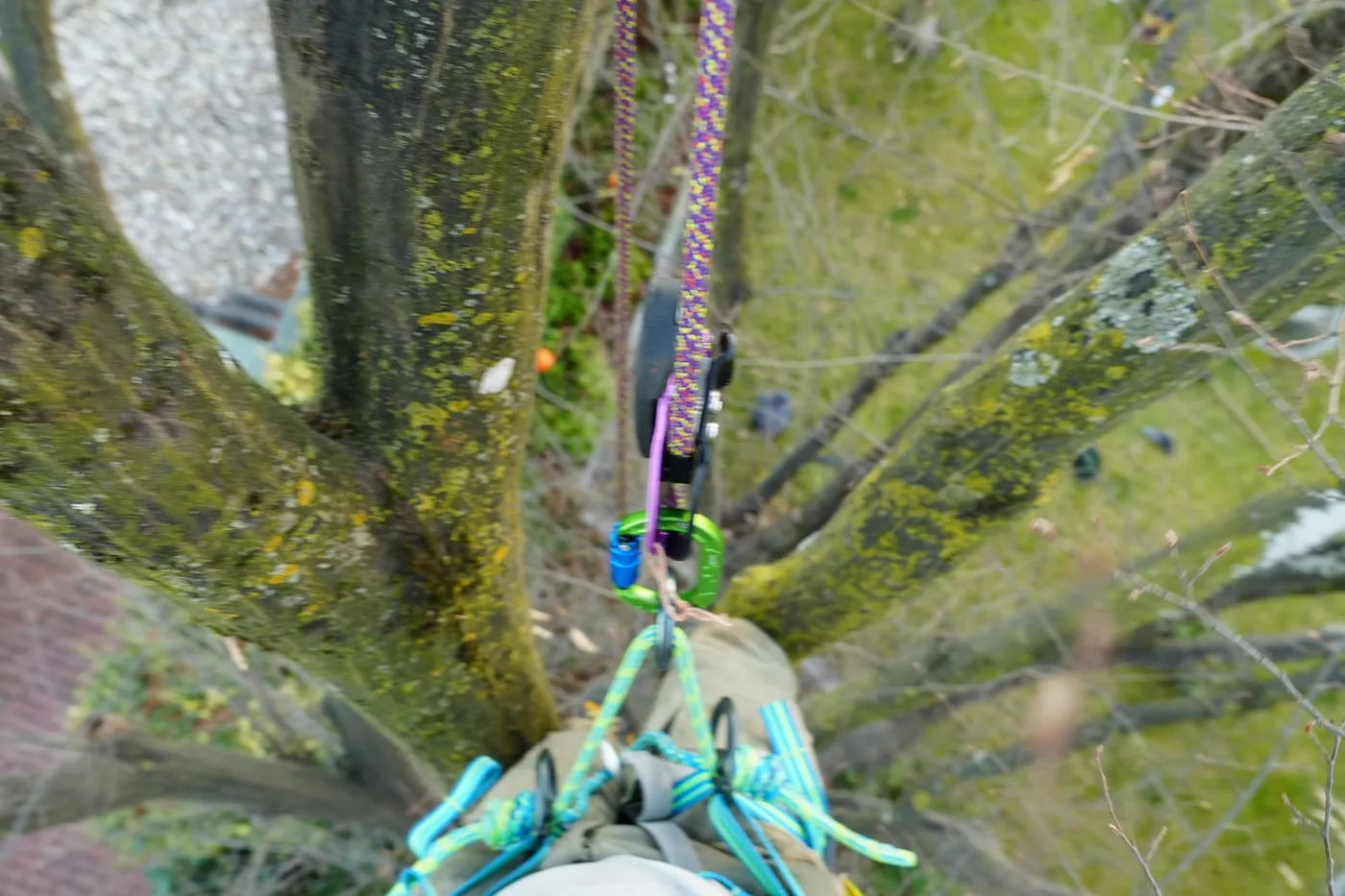 Seile und Kletterausrüstung im Baum